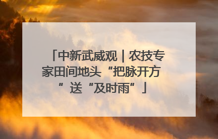 中新武威观｜农技专家田间地头“把脉开方”送“及时雨”