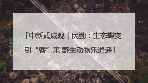 中新武威观｜民勤：生态蝶变引“客”来 野生动物乐逍遥