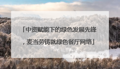 中资赋能下的绿色发展先锋，麦当劳铸就绿色餐厅网络