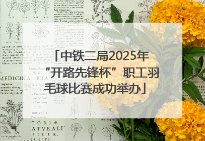 中铁二局2025年“开路先锋杯”职工羽毛球比赛成功举办
