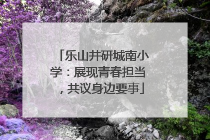 乐山井研城南小学：展现青春担当，共议身边要事