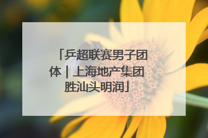 乒超联赛男子团体｜上海地产集团胜汕头明润