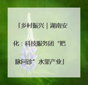 乡村振兴｜湖南安化：科技服务团“把脉问诊”水果产业