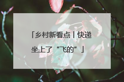 乡村新看点丨快递坐上了“飞的”