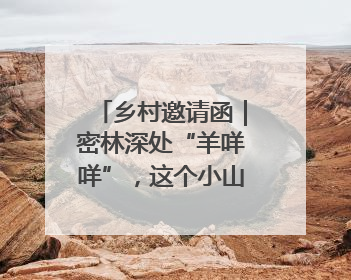 乡村邀请函｜密林深处“羊咩咩”，这个小山村如何逆袭？