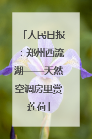 人民日报：郑州西流湖——天然空调房里赏莲荷