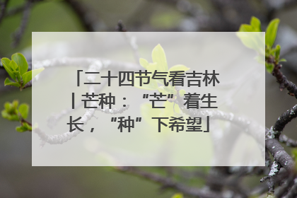二十四节气看吉林丨芒种：“芒”着生长，“种”下希望