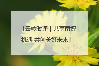 云岭时评｜共享南博机遇 共创美好未来