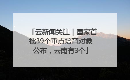 云新闻关注｜国家首批39个重点培育对象公布，云南有3个
