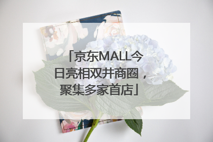 京东MALL今日亮相双井商圈，聚集多家首店