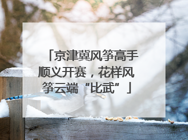 京津冀风筝高手顺义开赛，花样风筝云端“比武”