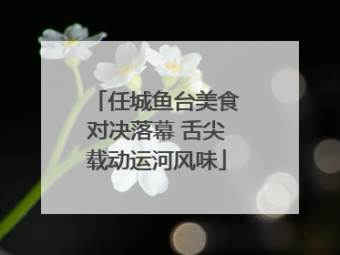 任城鱼台美食对决落幕 舌尖载动运河风味