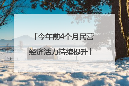 今年前4个月民营经济活力持续提升