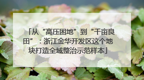 从“高压困地”到“千亩良田”：浙江金华开发区这个地块打造全域整治示范样本