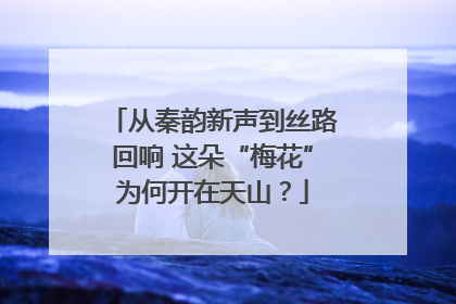 从秦韵新声到丝路回响 这朵“梅花”为何开在天山？