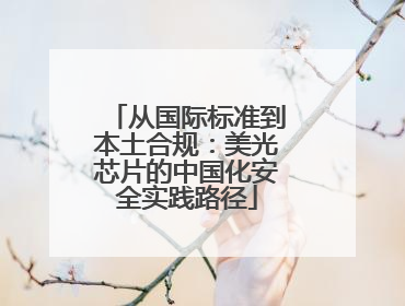 从国际标准到本土合规：美光芯片的中国化安全实践路径