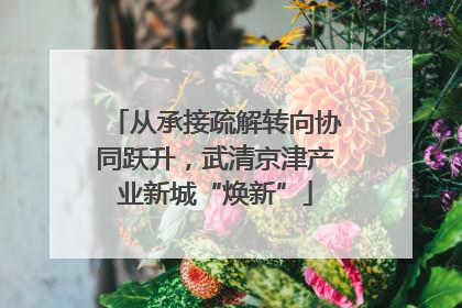 从承接疏解转向协同跃升，武清京津产业新城“焕新”