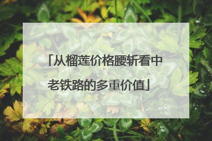 从榴莲价格腰斩看中老铁路的多重价值