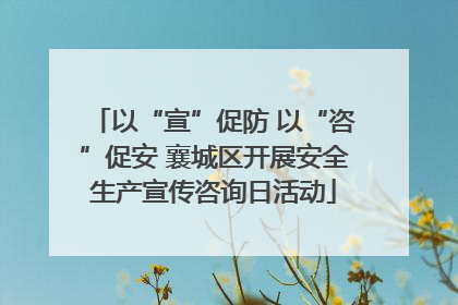 以“宣”促防 以“咨”促安 襄城区开展安全生产宣传咨询日活动