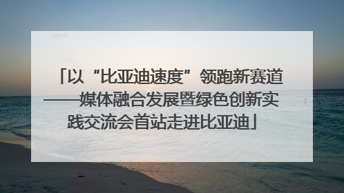 以“比亚迪速度”领跑新赛道——媒体融合发展暨绿色创新实践交流会首站走进比亚迪