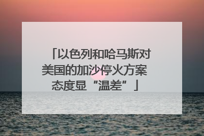 以色列和哈马斯对美国的加沙停火方案态度显“温差”