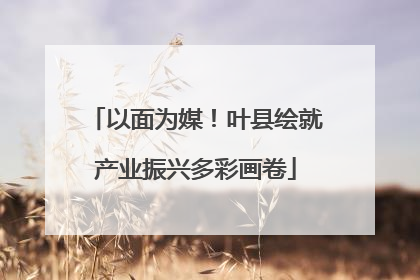 以面为媒！叶县绘就产业振兴多彩画卷