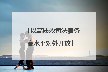 以高质效司法服务高水平对外开放