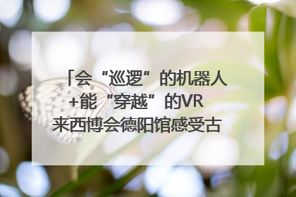 会“巡逻”的机器人+能“穿越”的VR 来西博会德阳馆感受古蜀文明与现代智造的时空对话｜西博视界