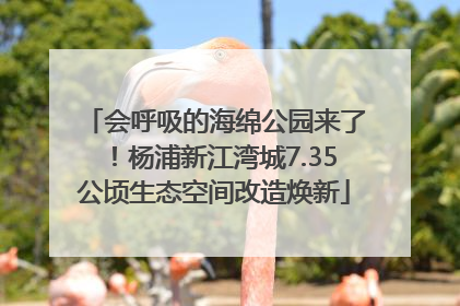 会呼吸的海绵公园来了！杨浦新江湾城7.35公顷生态空间改造焕新