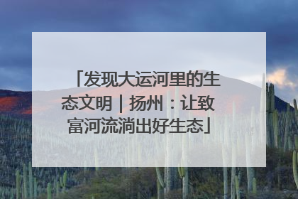 发现大运河里的生态文明｜扬州：让致富河流淌出好生态