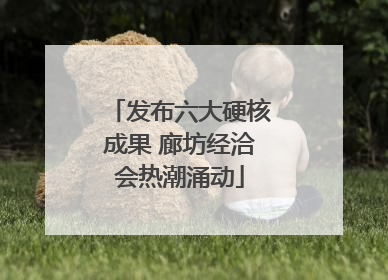 发布六大硬核成果 廊坊经洽会热潮涌动