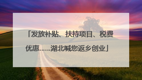 发放补贴、扶持项目、税费优惠……湖北喊您返乡创业