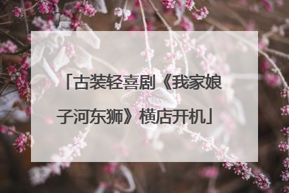 古装轻喜剧《我家娘子河东狮》横店开机