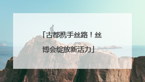 古都携手丝路！丝博会绽放新活力