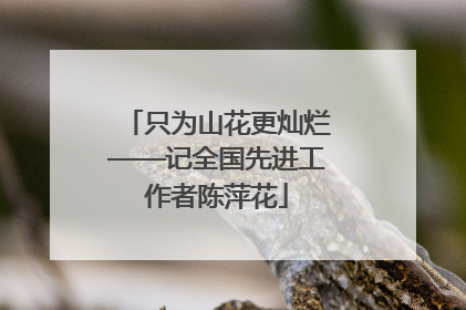 只为山花更灿烂——记全国先进工作者陈萍花