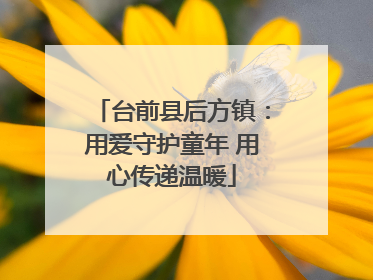 台前县后方镇：用爱守护童年 用心传递温暖