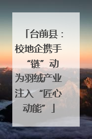 台前县：校地企携手“链”动 为羽绒产业注入“匠心动能”