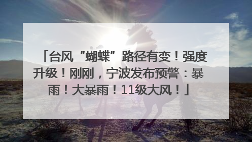 台风“蝴蝶”路径有变！强度升级！刚刚，宁波发布预警：暴雨！大暴雨！11级大风！
