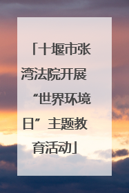 十堰市张湾法院开展“世界环境日”主题教育活动