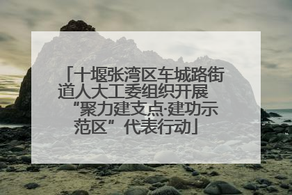 十堰张湾区车城路街道人大工委组织开展 “聚力建支点·建功示范区”代表行动
