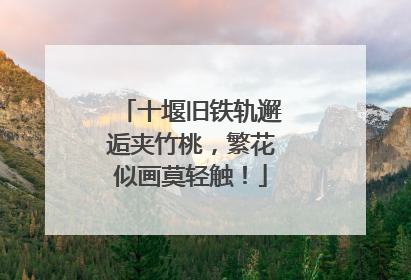 十堰旧铁轨邂逅夹竹桃，繁花似画莫轻触！