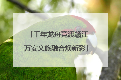 千年龙舟竞渡赣江 万安文旅融合焕新彩