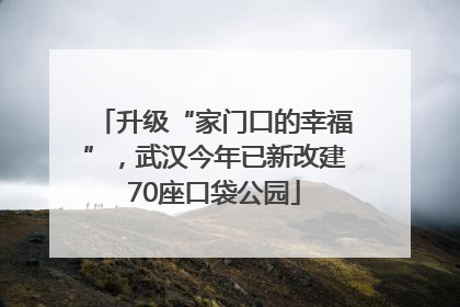 升级“家门口的幸福”，武汉今年已新改建70座口袋公园