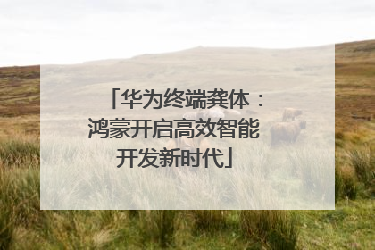 华为终端龚体：鸿蒙开启高效智能开发新时代