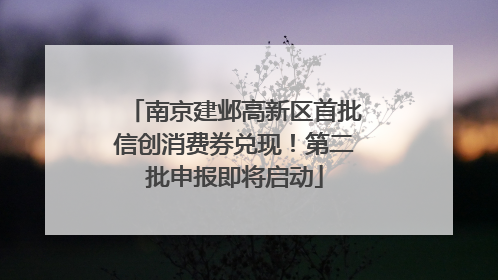 南京建邺高新区首批信创消费券兑现！第二批申报即将启动
