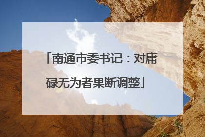 南通市委书记：对庸碌无为者果断调整