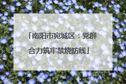 南阳市宛城区：党群合力筑牢禁烧防线