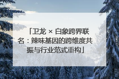 卫龙 × 白象跨界联名：辣味基因的跨维度共振与行业范式重构