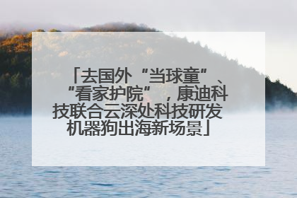 去国外“当球童”、“看家护院”，康迪科技联合云深处科技研发机器狗出海新场景