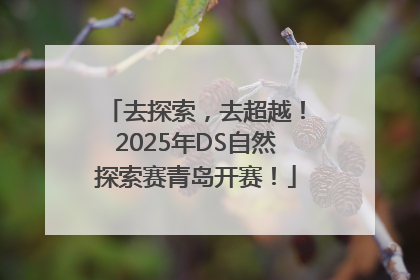 去探索，去超越！2025年DS自然探索赛青岛开赛！
